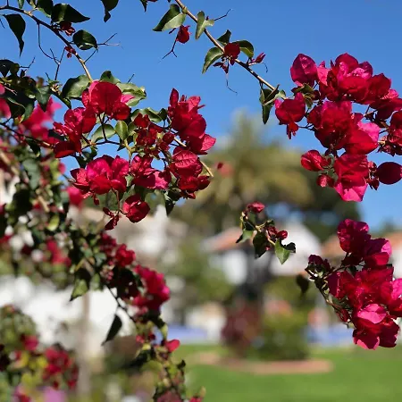 Сasa de vacaciones Casa Bellilo Mijas